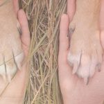 So kannst du mich unverbindlich kennenlernen