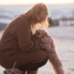 Warum ich den Menschen coache, nicht den Hund