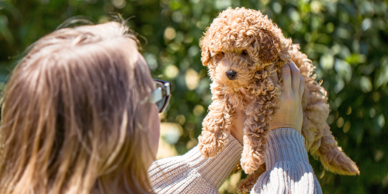 Dein Hund spricht mit dir: Bist du bereit zuzuhören?